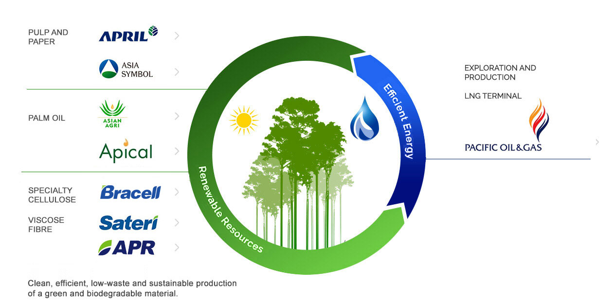 Rge Royal Golden Eagle Group Sustainable Resources